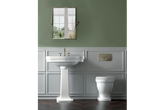 Claremont Brushed Nickel Flush Plate Only Compatible W/ Geberit Cistern